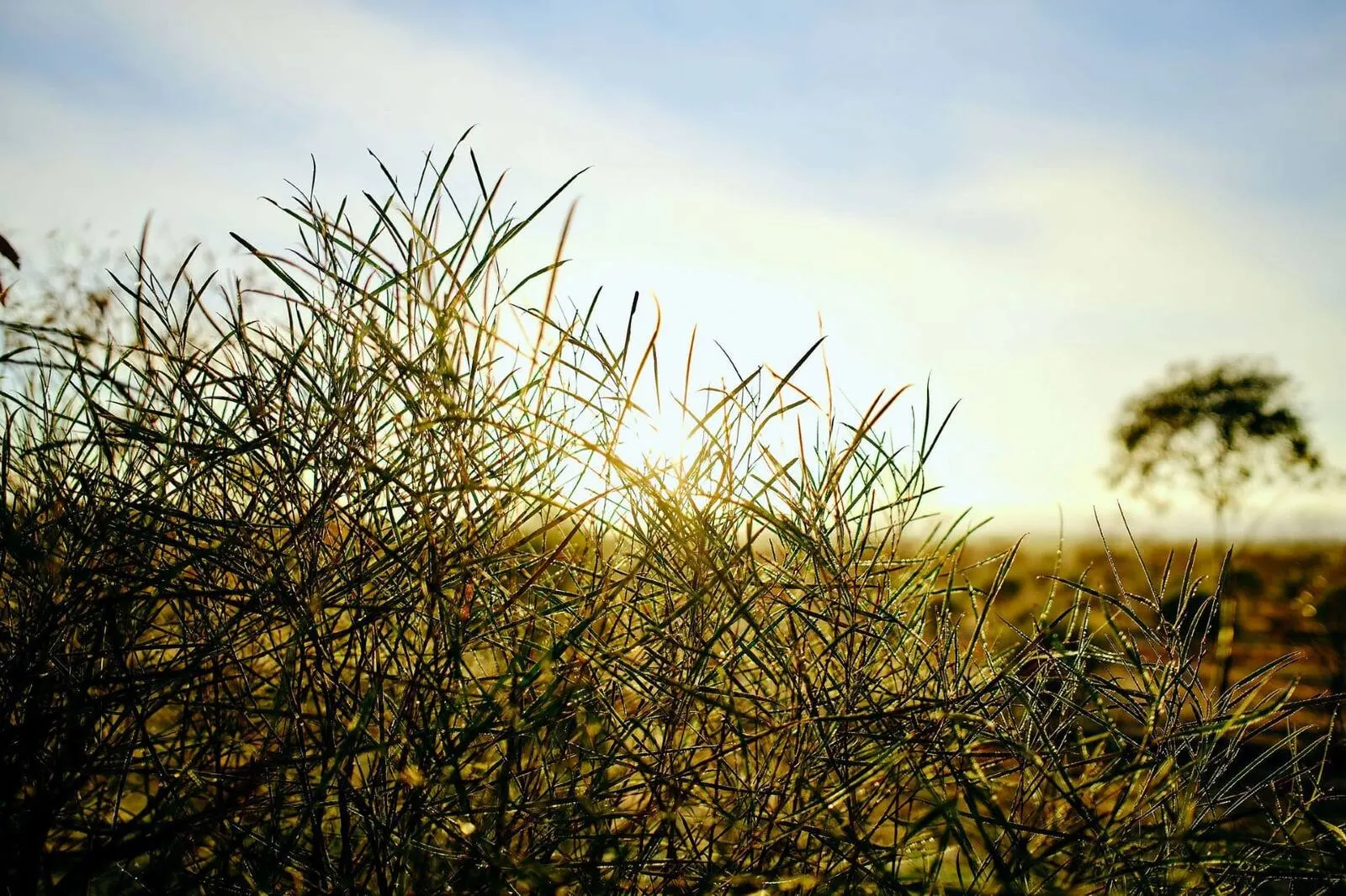Our Commitment to Carbon Neutrality