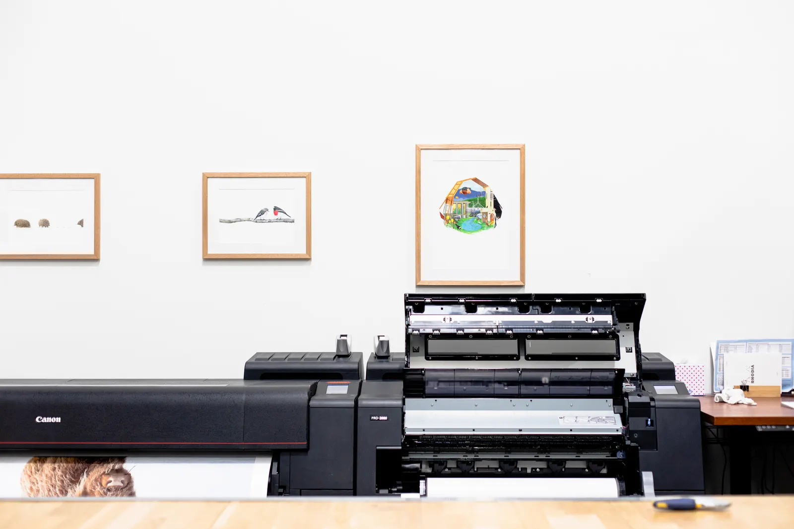 Lucent Imaging studio